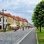 In A Historical House In The Center Of * Levoča