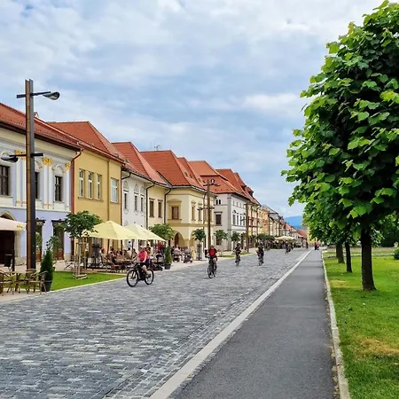 In A Historical House In The Center Of * Levoča