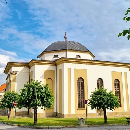 In A Historical House In The Center Of Lejlighed