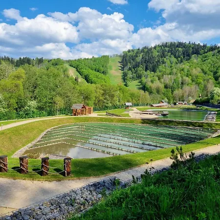 In A Historical House In The Center Of Apartment *