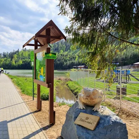 In A Historical House In The Center Of Apartment *