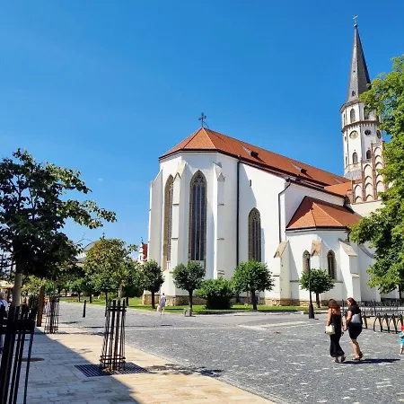 In A Historical House In The Center Of Apartment