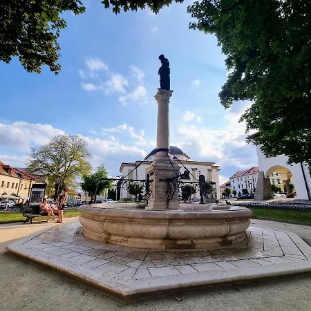 In A Historical House In The Center Of Apartment *