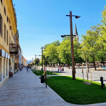 In A Historical House In The Center Of *