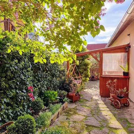 In A Historical House In The Center Of Appartement *