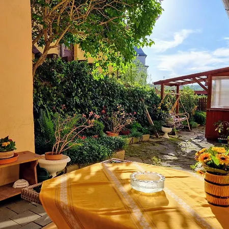 In A Historical House In The Center Of Apartment