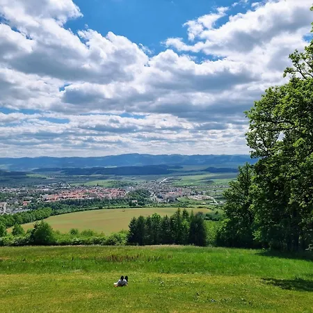 In A Historical House In The Center Of *
