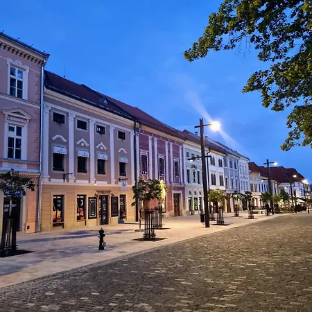 In A Historical House In The Center Of