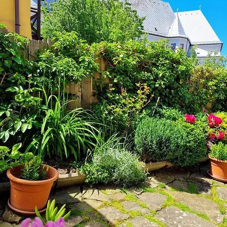 In A Historical House In The Center Of Apartment