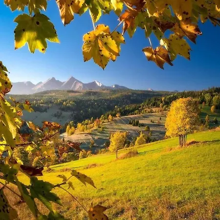 Apartmán In A Historical House In The Center Of *