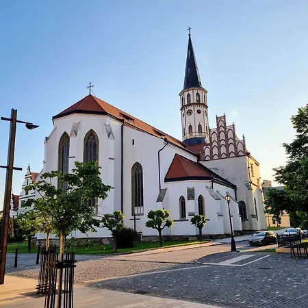 Apartmán In A Historical House In The Center Of *