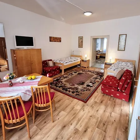 In A Historical House In The Center Of Apartment *