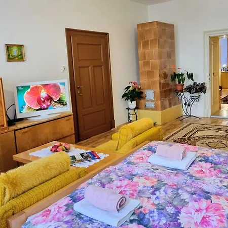 In A Historical House In The Center Of Lejlighed *