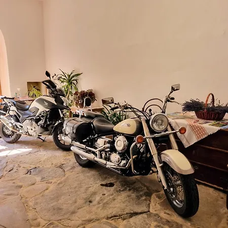 In A Historical House In The Center Of Lejlighed