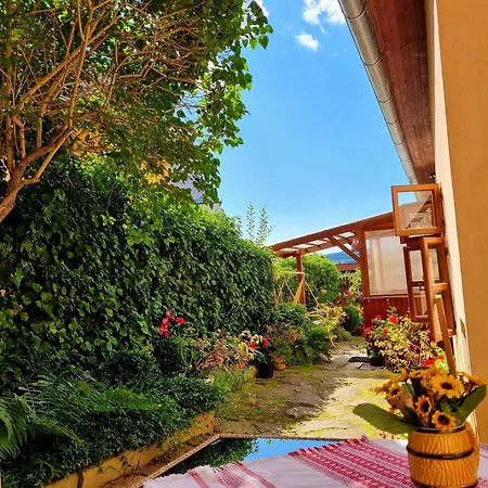 In A Historical House In The Center Of