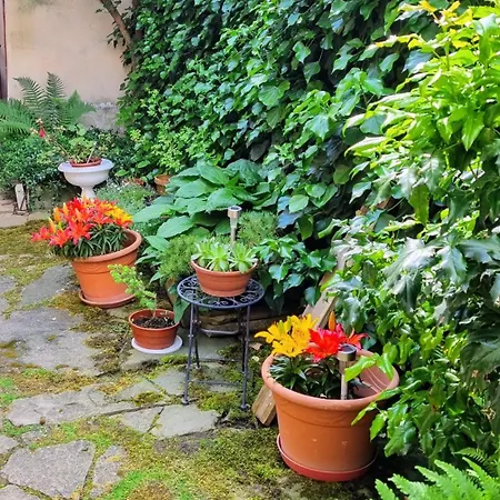 Apartmán In A Historical House In The Center Of *