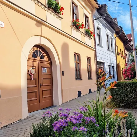 In A Historical House In The Center Of *