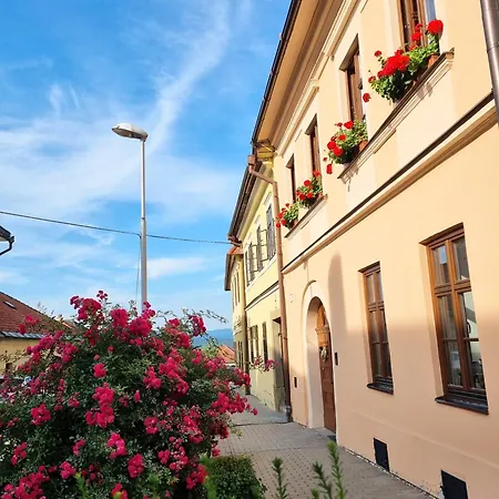 Lejlighed In A Historical House In The Center Of