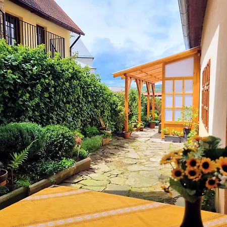 Lejlighed In A Historical House In The Center Of